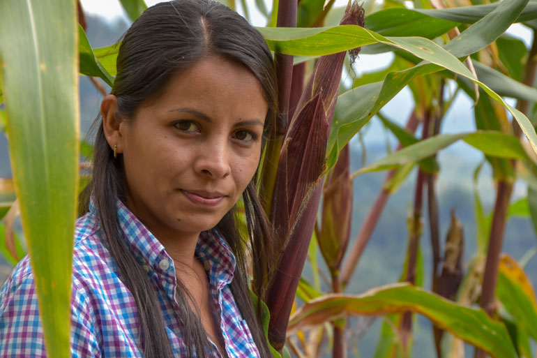 Jeidy is a rural woman farming in the Global South, in Honduras. This image of her is her shoulders and face framed by tall stalks of corn around her. She look directly into the camera and has a determined look on her face.