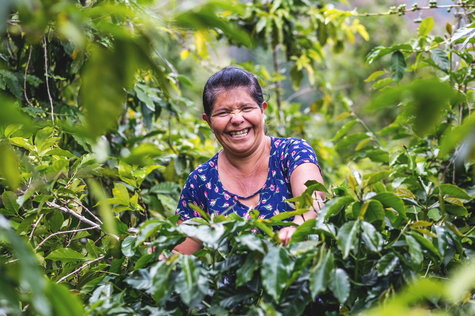 a woman crouches next to a cultivated shrub. She's smiling a huge smile.