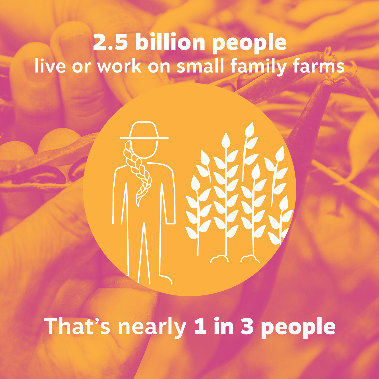 World Food Day - Who really feeds the world?  2.5 billion people live or work on small family farms  That’s nearly 1 in 3 people