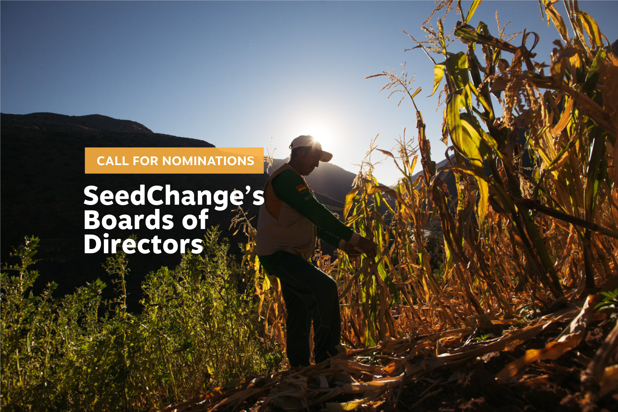 Call for nomination: SeedChange's Board of Directors