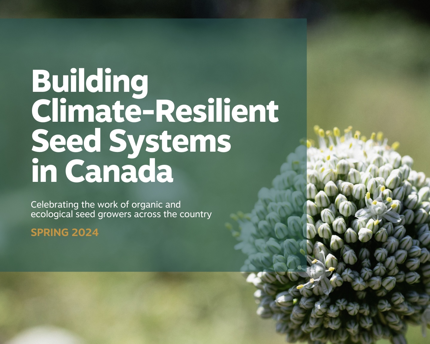 Building Climate-Resilient Seed Systems in Canada - SeedChange