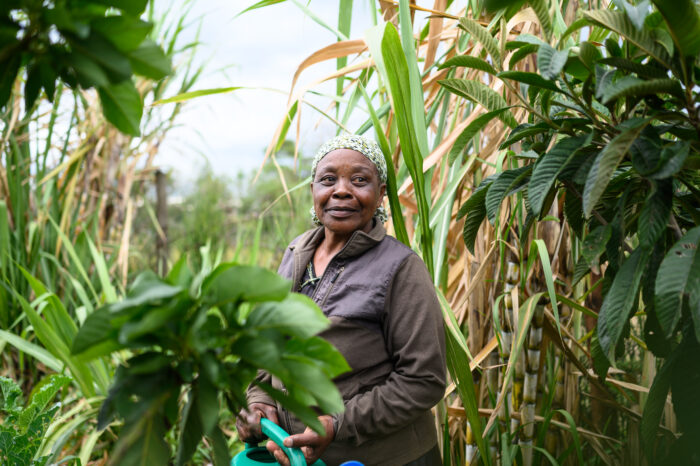 Esther Wanjiku stands next to her plants at her homestead in Mbegi-Nakuru County, Kenya 2022.